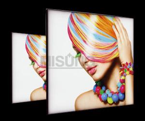 Fabric LED Light Box